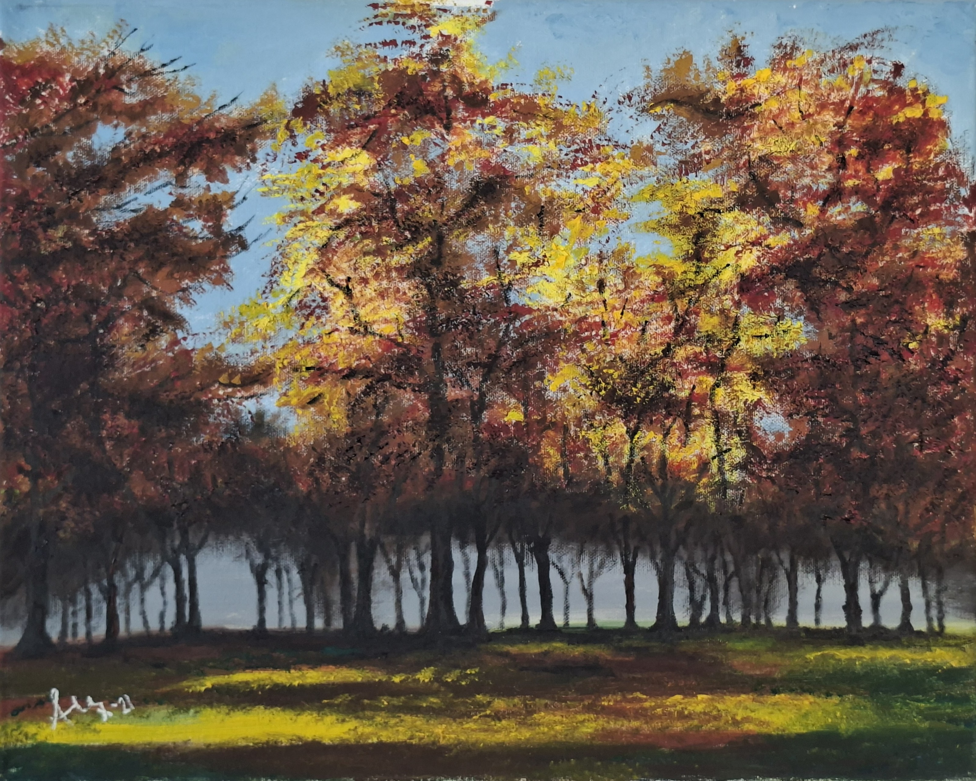 Park
