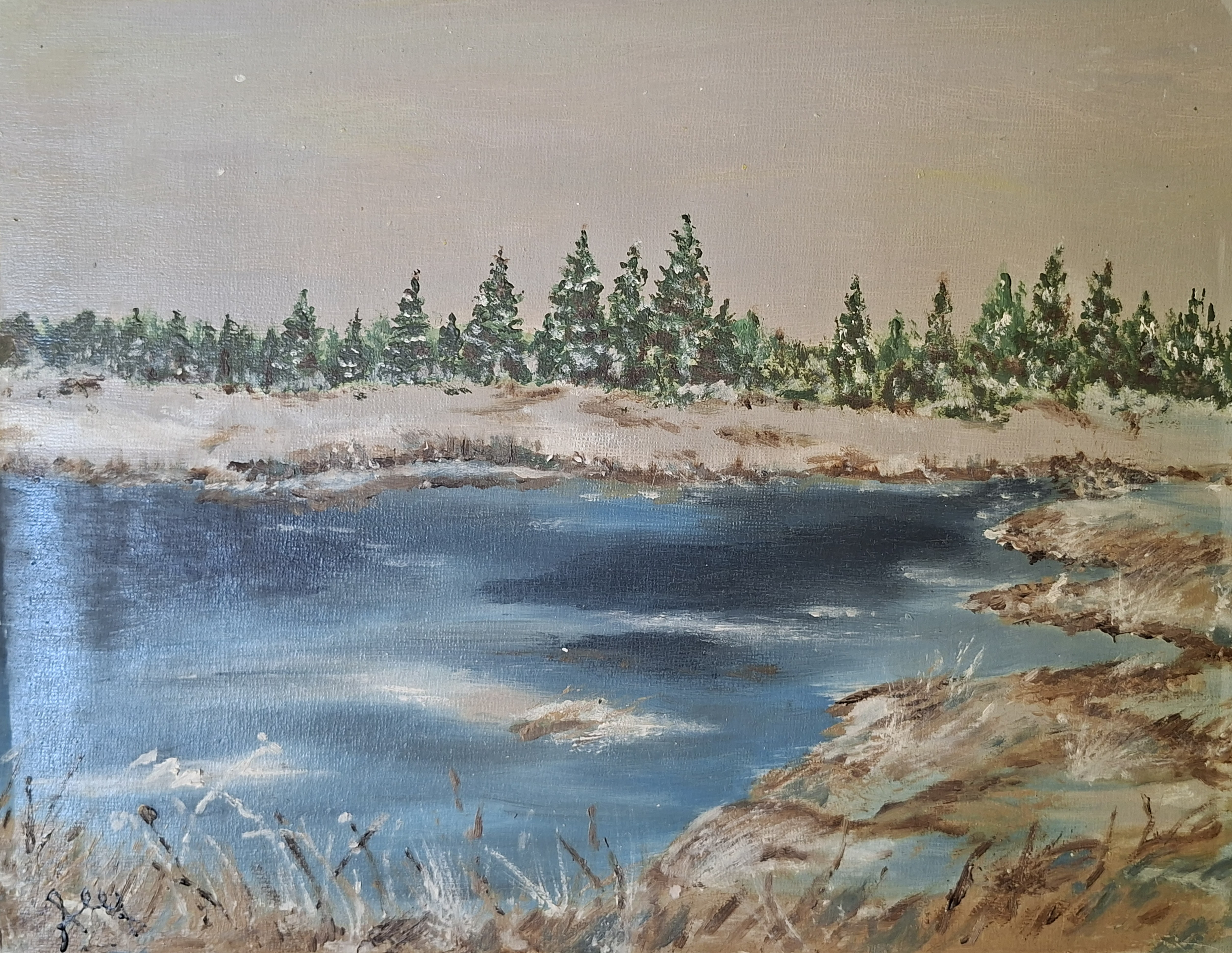 Zimní jezero